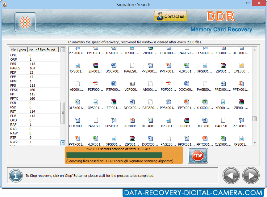 Software Da Recuperação Dos Dados Do Cartão De Memória