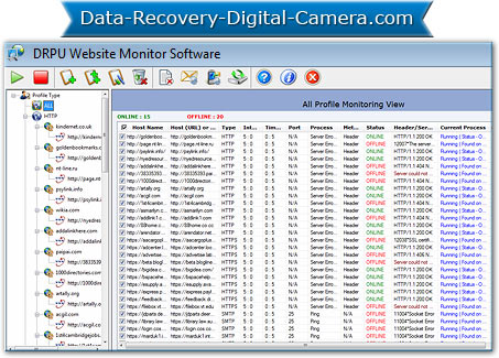 Het Hulpmiddel Screenshot van de Controle van de website