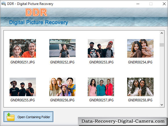Data Recovery for Digital Pictures