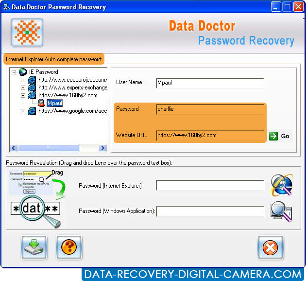 Internet Explorer Password Recovery